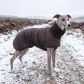 The Tarn Parka worn outdoors